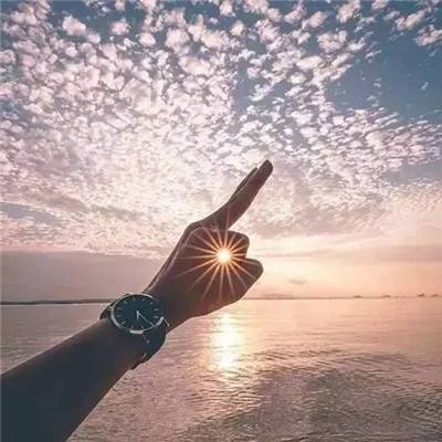 大秦帝国风云录果盘版下载